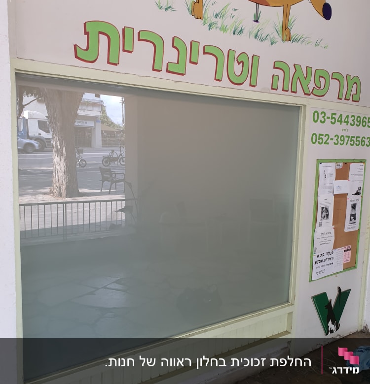 חלון זכוכית גדול עם השתקפות של רחוב ועץ